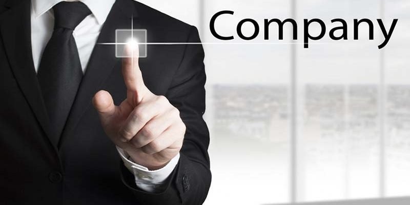 Definition of PT (Limited Liability Company), Types, Advantages