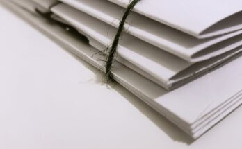 Taxpayer: Definition, Categories, Rights, and Obligations