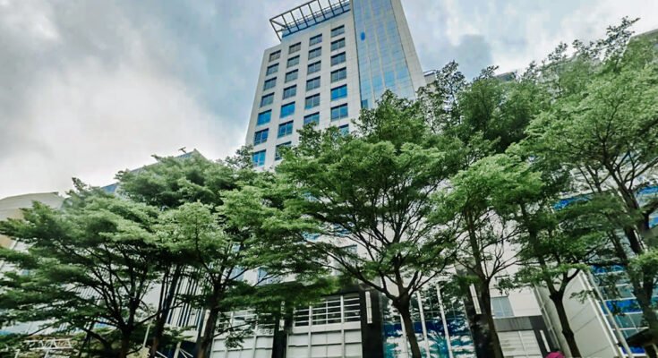 vOffice The Honey Lady